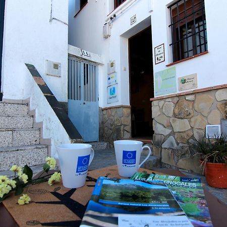Casa De Barbara Villa Alcalá de los Gazules Exterior photo
